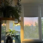 Studio Centrale Bucharest * Bukarest