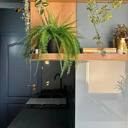 公寓 Studio Centrale Bucharest *